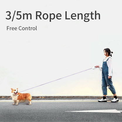 Retractable LED Dog Leash
