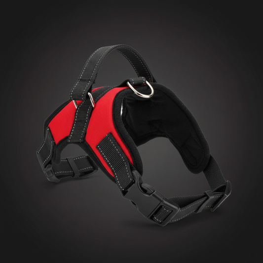 Dog Harness
